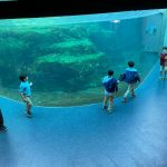 ZOO TRIP