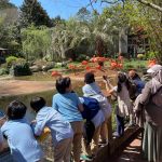 FLAMINGO WATCHING- ZOO TRIP
